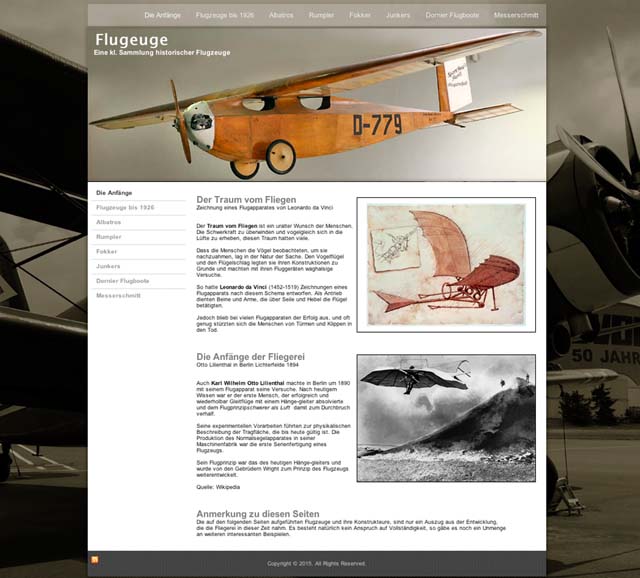 Portfolio Item